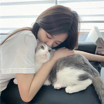 男人不坏封面